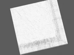 Dinner Napkin