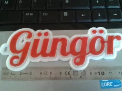Gungor