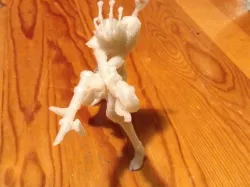 Jhinawko