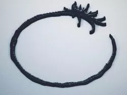 Louise heptapod symbol from Arrival