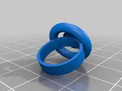 o ring