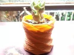 Planter V3