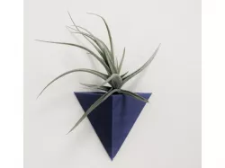 Air Planter