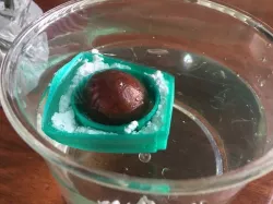 avoboat  mini