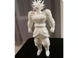 Broly Highter Resolution (Dragon Ball Z)