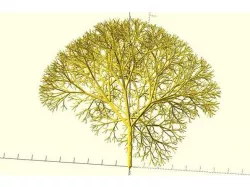 Customizable tree curve