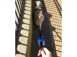 Dog Waste Bag Dispenser for Leash