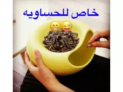hasawi 2 (nuts bowl)