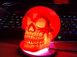 Hollow "Celtic Skull"