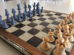 Pokemon Chess Set - Different Pawns