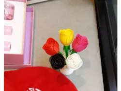Printable Rose with renforced stem