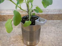 Soup Can Planter
