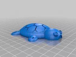 Turtle