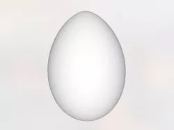 Beautiful Egg