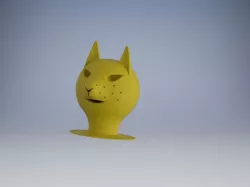 Cat head