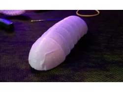 Isopod Pill bug