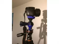 Kneecap for vanguard