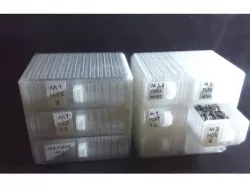 Screws Organizer