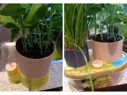 Self Watering Herb Planter