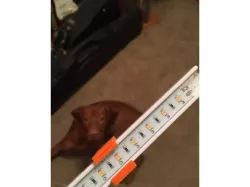 Ubiquitous LED light strip mount from Menards and other stores
