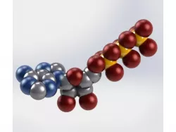 ATP Molecule Model