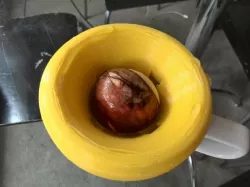 Avocado Grower