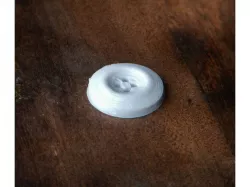 Basic Parametric Button