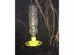 Bird feeder for large bottle