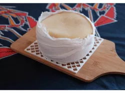 Cheese rack/mesh