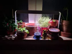 IKEA VÄXER planting LED stand