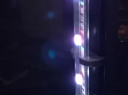 Kodama Trinus 3D Enclosure LED holder