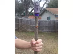 Monumental Walking Stick - Martin Luther King