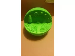 Plant Cell