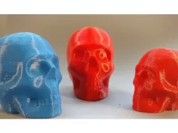 Riley the printable skull