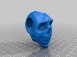 Skull Paracord Bead