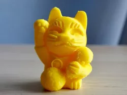 soccer cat