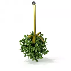 Christmas Mistletoe Green Holiday 3D model