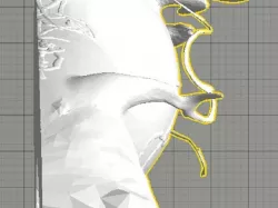 dragon head