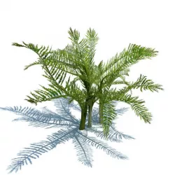 Evergreen Branches 3D model