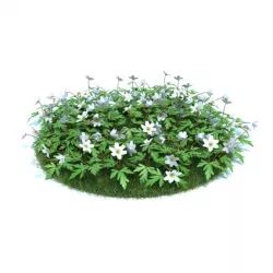 Flower Patch With White Flowers 3D model