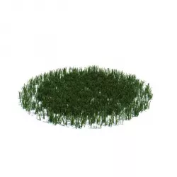 Grass Circle 3D model