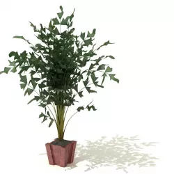 Green Leaf Plant In Red Flower Pot 3D model