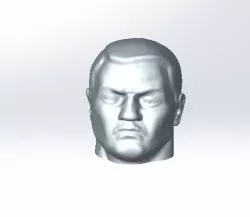 Head