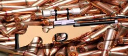 Hunter Rifle