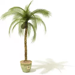 Leafy Palm Trees In Green Pot 3D model