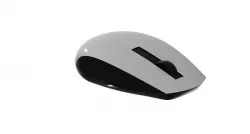 MOUSE