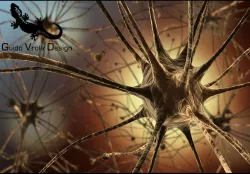 Neurons 3D model
