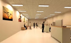Office Interior Design