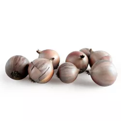 Onions 3d model Vray shaders 3D model