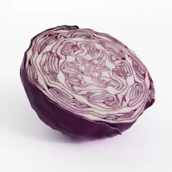 Pink Colored Cabbage 3D model